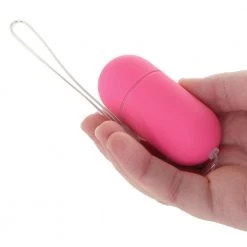 CalExotics Shane's World Hookup Remote Control Egg Vibe -Outlet Vibrators Store media 490f1d90 8e20 4548 9fe1 f7650c33030f 800x@2x