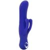 CalExotics Posh Silicone Double Dancer Vibe 1 CalExotics Posh Silicone Double Dancer Vibe -Outlet Vibrators Store media 7c1b3b28 df16 4d0b a100 d4e371fc1398 800x@2x