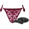 CalExotics Remote Control Burgundy Lace Thong & Vibe Set -Outlet Vibrators Store media cdc21057 be8a 4c3c 8cbd 0618fae8da41 800x@2x