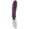 Lelo LIV 2 Vibe -Outlet Vibrators Store media f6a0ccc2 b4d3 485e 8277 b1fa7e324214 800x@2x